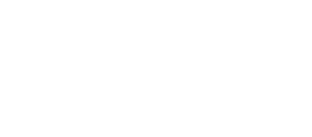Elastic Logo